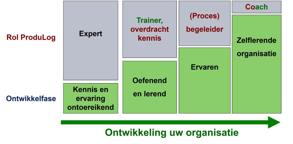 Rol lean consultant