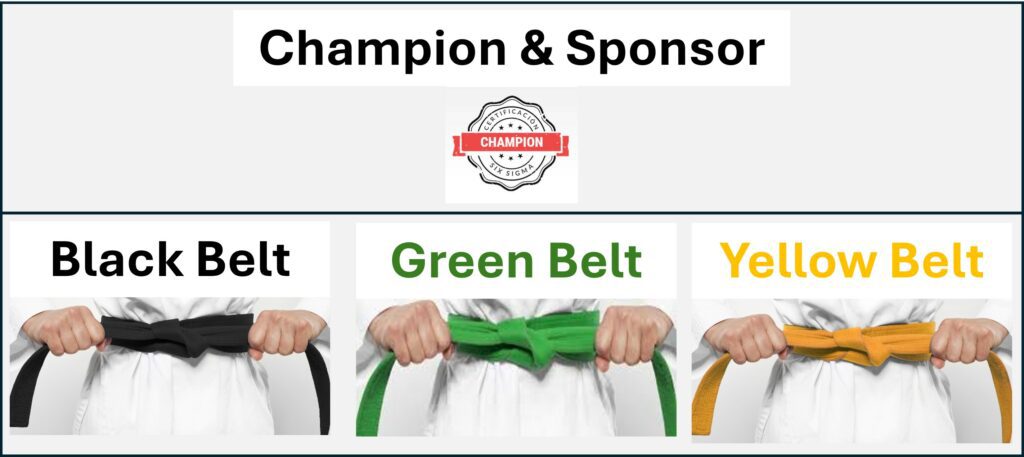 Six Sigma - Black Belt - Green Belt - Yellow Belt